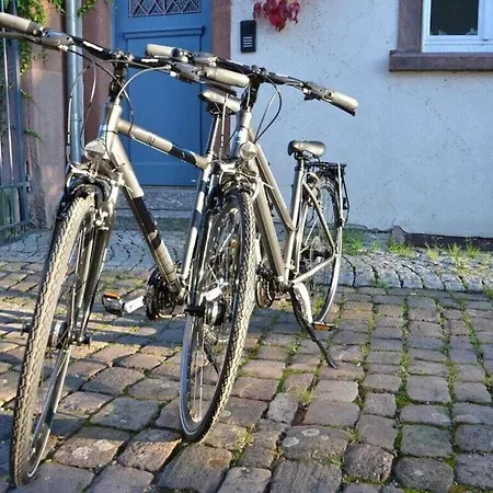 Winklerhof 別荘 ガッゲナウ